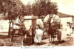 Batna 03